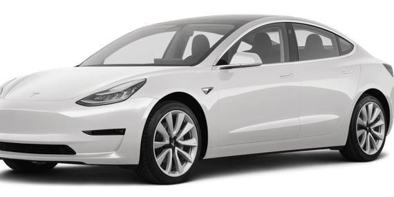 TESLA MODEL 3 2020 5YJ3E1EA5LF800059 image